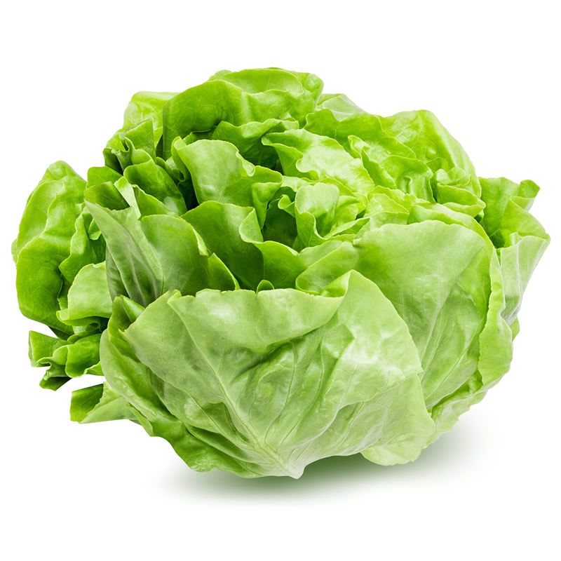 FLAT LETTUCE CASE